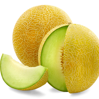 galia melon